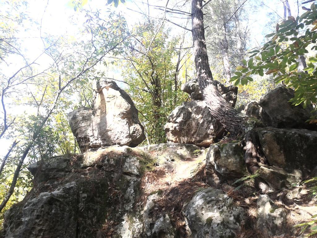 Le gite de Cristal proche Bugarach Granes Exterior foto